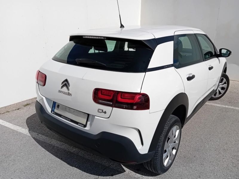 CITROEN C4 CACTUS LIVE 1.5 BLUEHDI 100CV