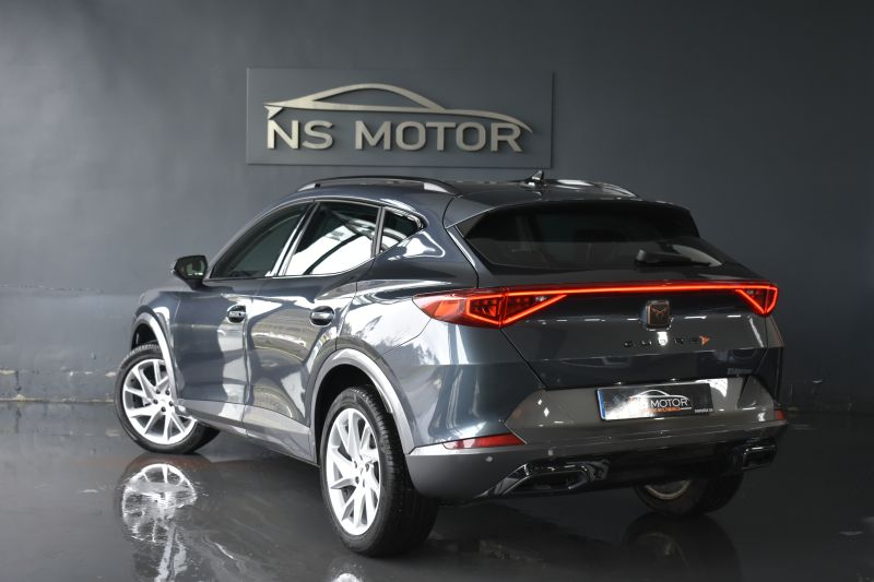 CUPRA FORMENTOR 2.0 TDI 150CV 4DRIVE DSG